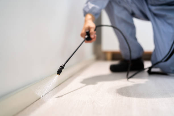 Licensed Pest Control service in Jackson, MS - Nex Pest Control