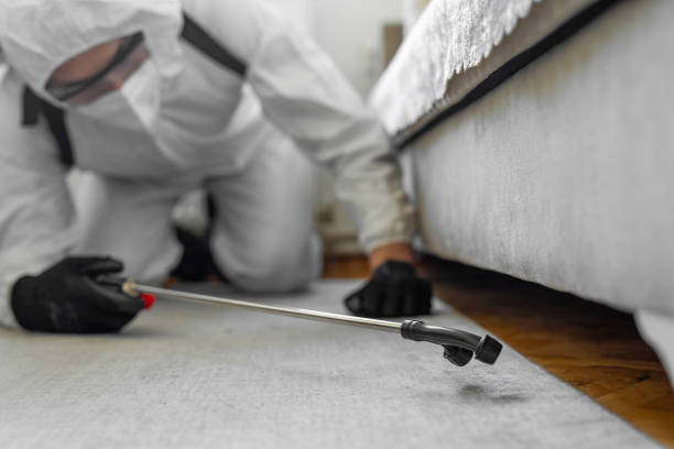 Professional Pest Control technician working in Jackson, MS