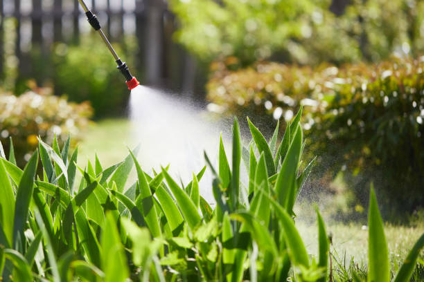 24/7 Emergency Pest Control experts in Jackson, MS