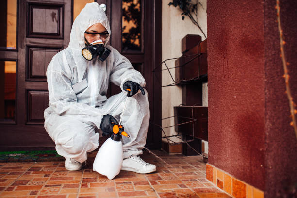 Reliable Pest Control contractor in Jackson, MS by Nex Pest Control