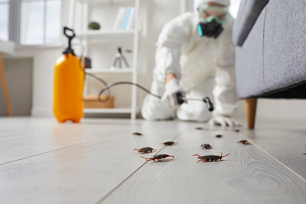 Affordable Pest Control solutions in Jackson, MS