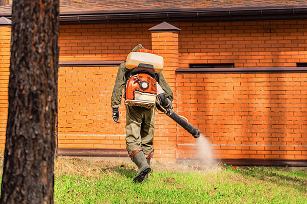 Top rated local Pest Control specialists in Jackson, MS